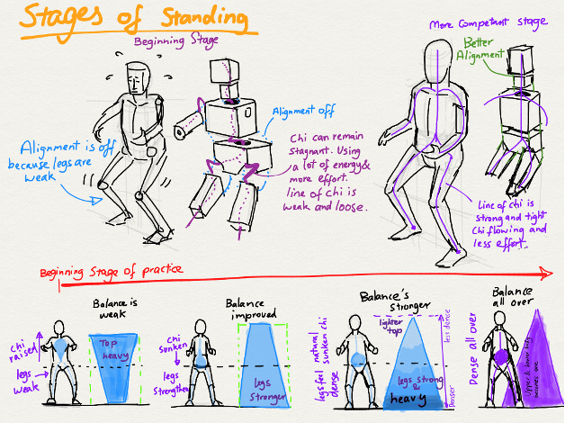 Trains of Thought Part 3: Fascia’s Role in Internal Training