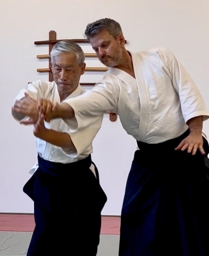Aikido Training Notes: Shihonage